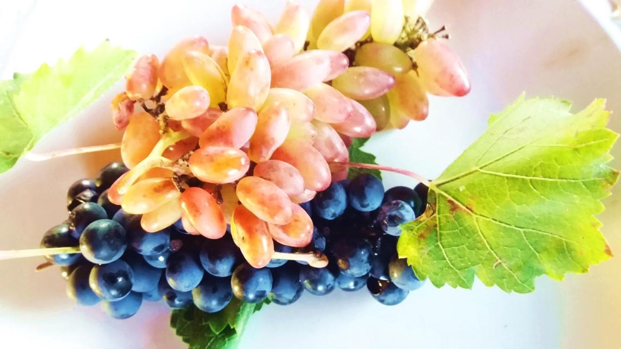 Chaglasian Wine & Suites سان رافاييل المظهر الخارجي الصورة