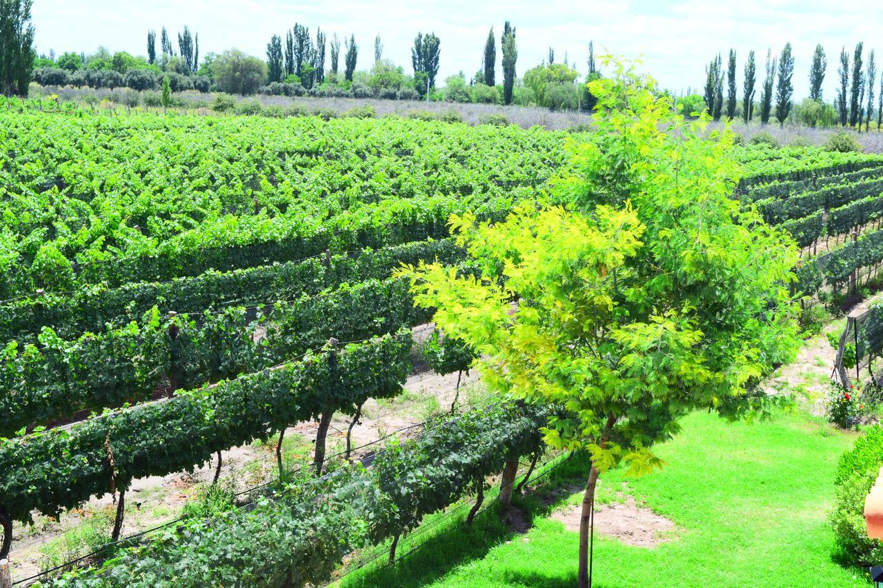 Chaglasian Wine & Suites سان رافاييل المظهر الخارجي الصورة